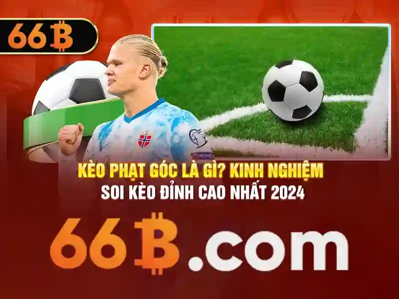 Lưu Ý Khi Đăng Ký 66B