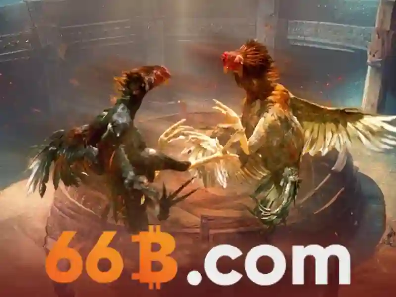 Lợi ích 66b