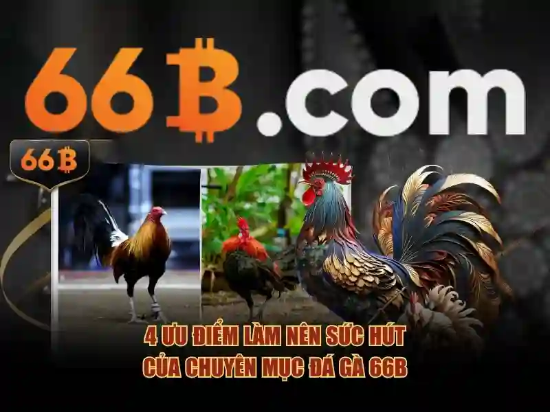 Ưu Điểm Nổi Bật Của Trang Chủ 66B