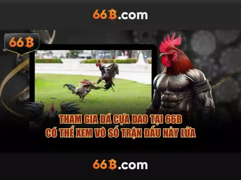 Quy Trình Rút Tiền 66B