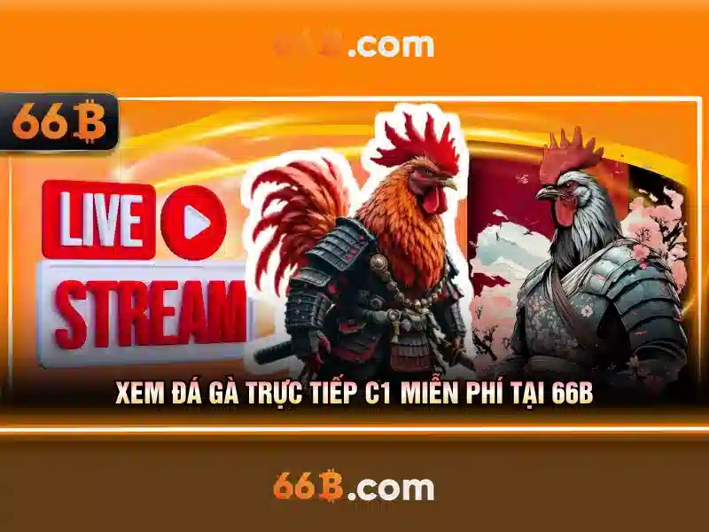 Chương Trình 66b Free Chip