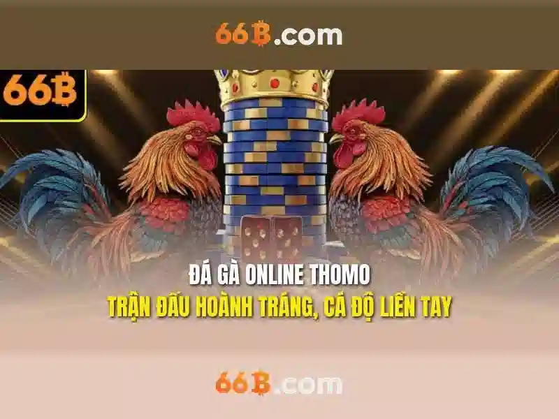 Ưu Đãi 66B