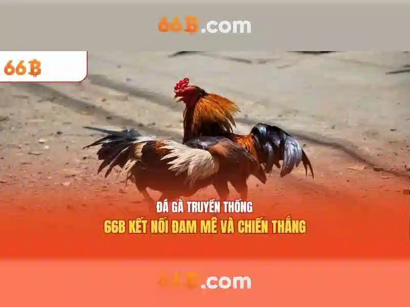 66B – Cập Nhật Tin Tức Mới Nhất Về 66B Slot
