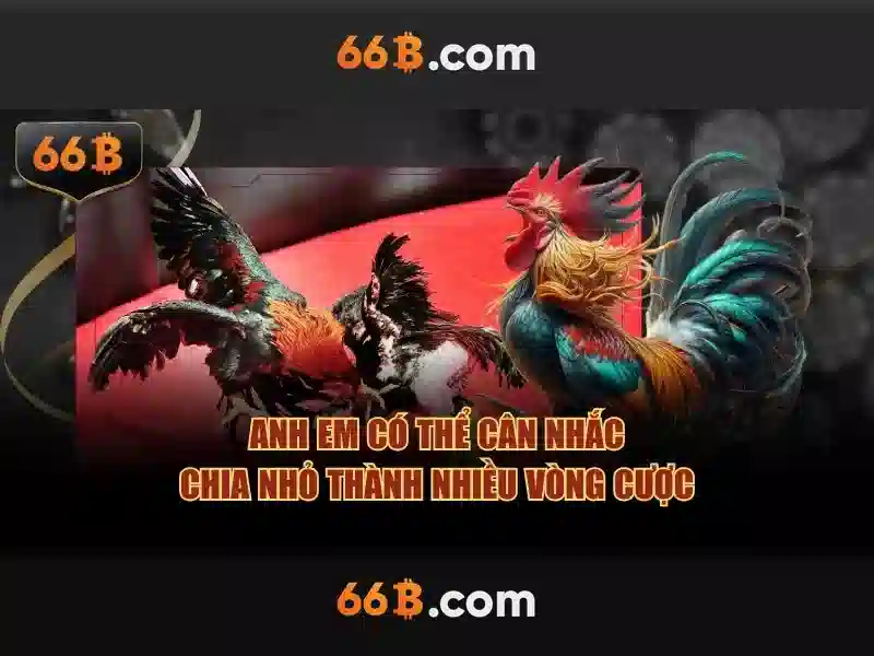 Ưu Đãi Đăng Ký