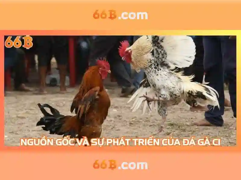 game slot 66b