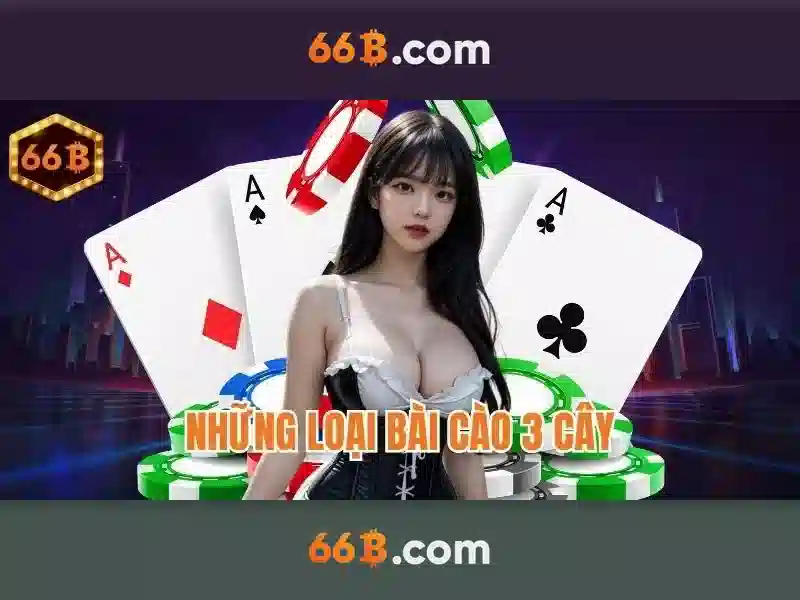 Trải nghiệm 66B