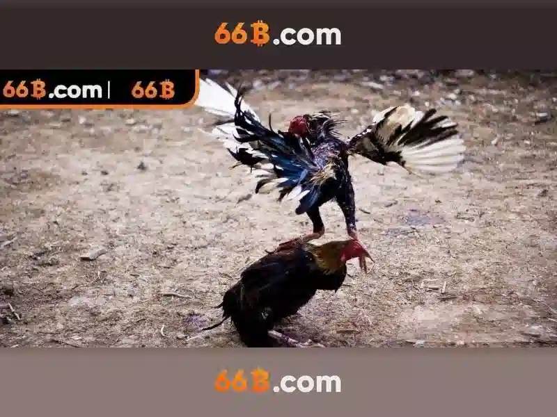 Trò Chơi SLOT 66B