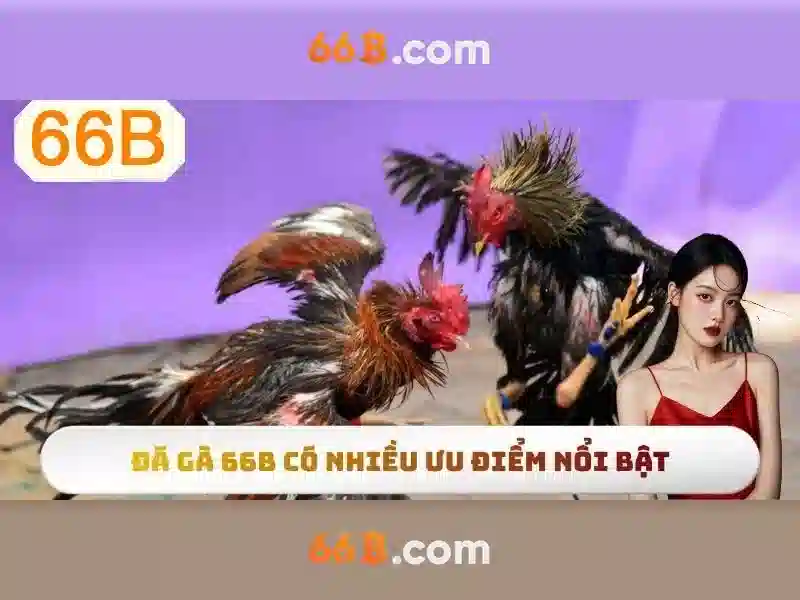 Trải nghiệm 66b online