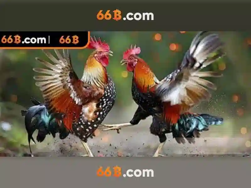 ưu đãi code 66b – Chương Trình Khuyến Mãi Độc Quyền Cho Người Chơi Slot