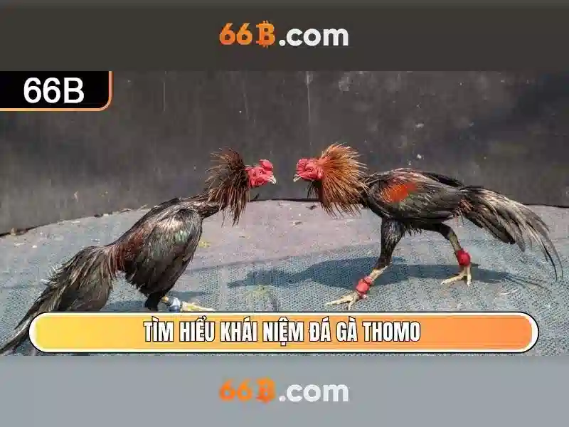 tính năng nổi bật của nổ hũ 66b