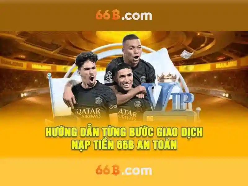 Hỗ trợ 66B