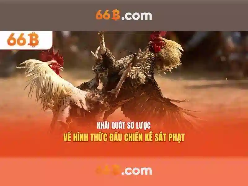 Các Loại Trò Chơi Slot 66B