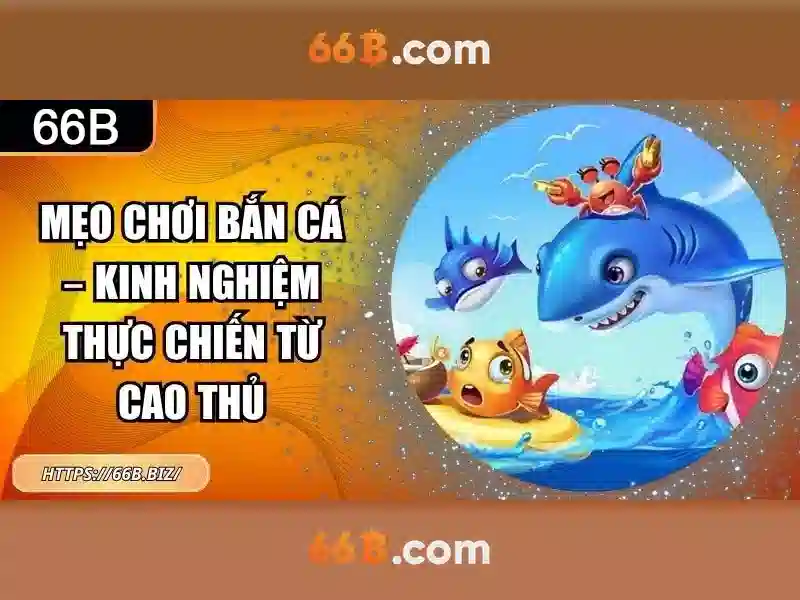 Đánh Giá 66B