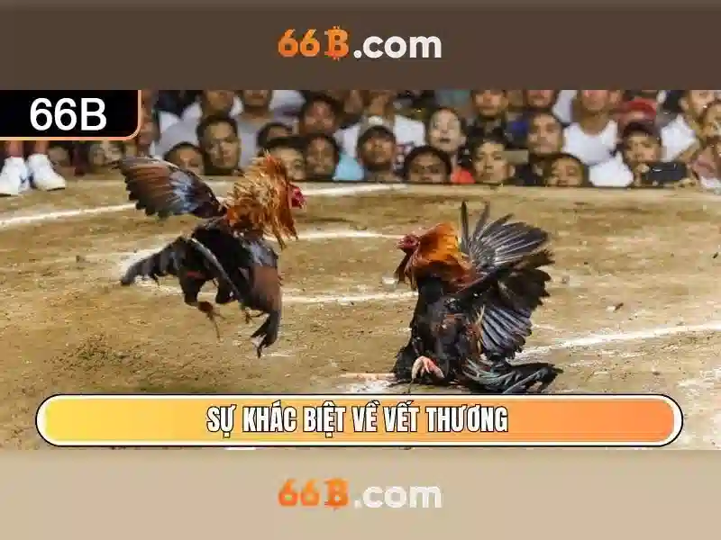 SLOT 66B