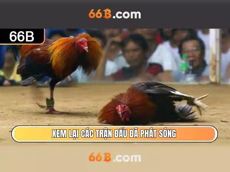 Trải nghiệm đăng nhập 66B