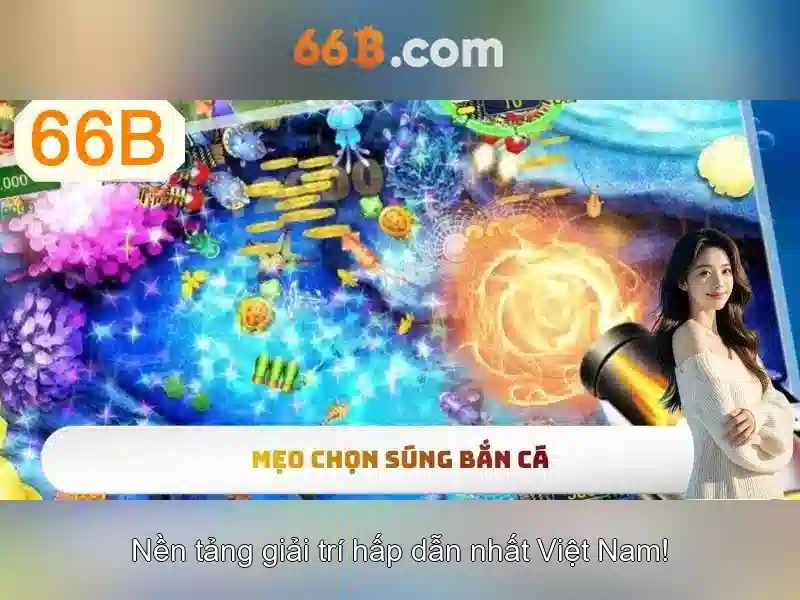 Hướng Dẫn 66B