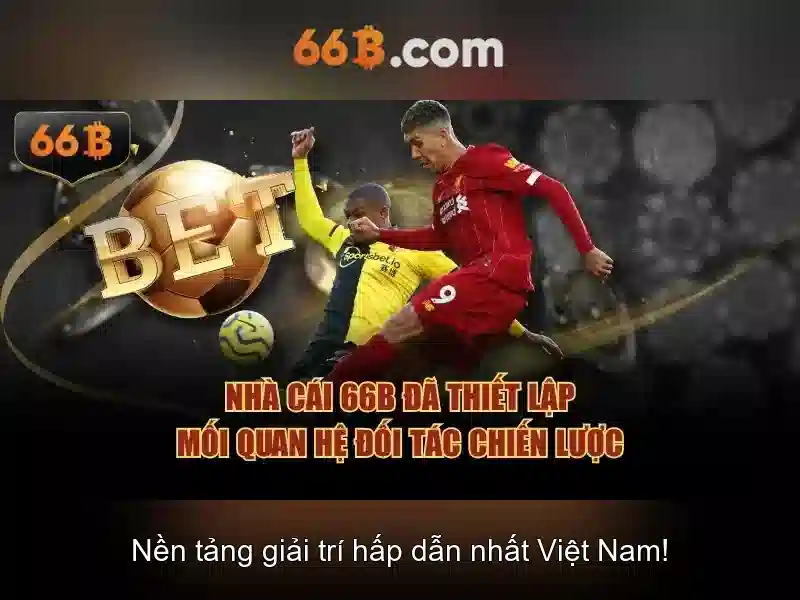 Ưu đãi độc quyền cho thành viên 66B