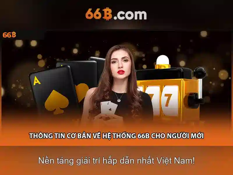 Giới Thiệu Về 66B