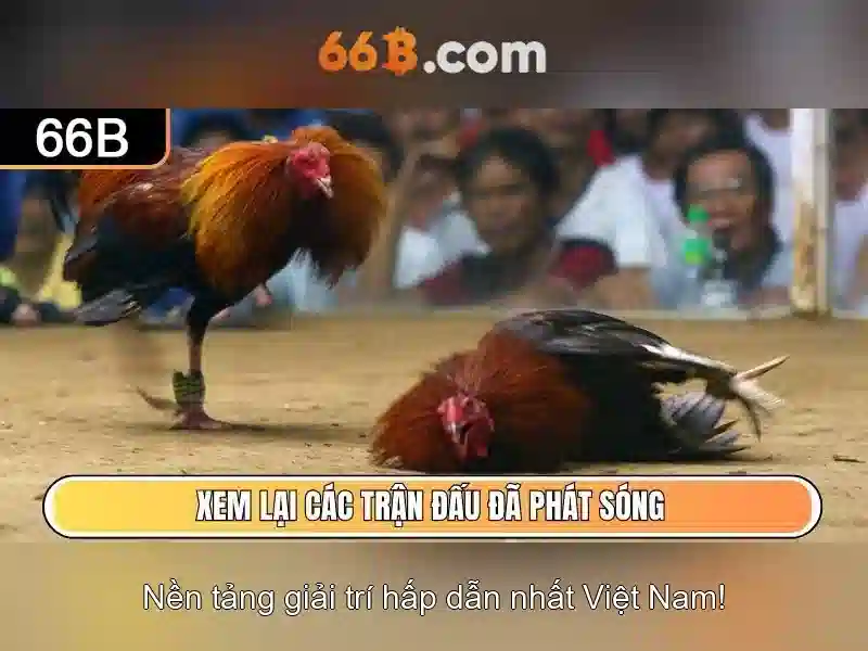 Quy Trình Tiếp Nhận Thông Tin Khách Hàng Liên Hệ 66B