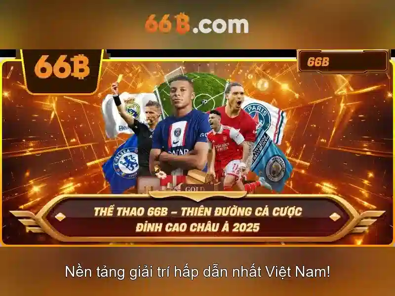 Quyền và nghĩa vụ người chơi 66B