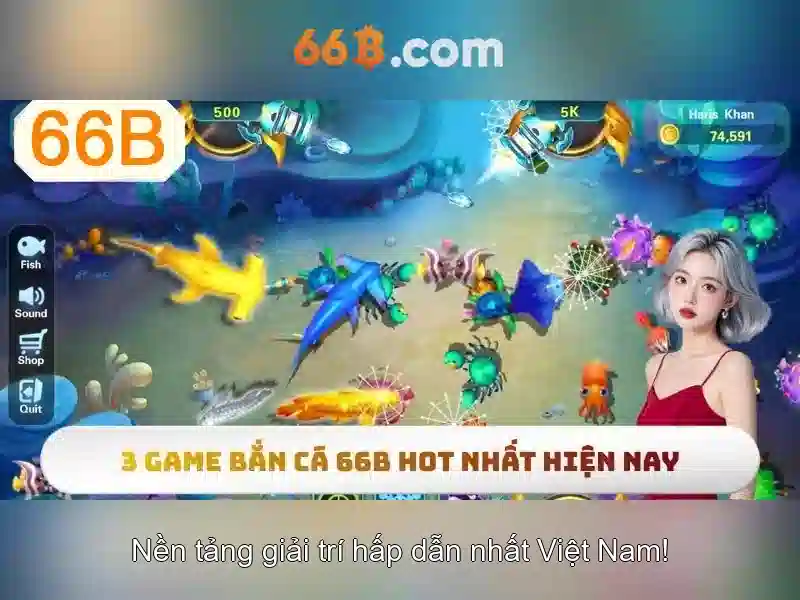 Quy trình đăng nhập 66B