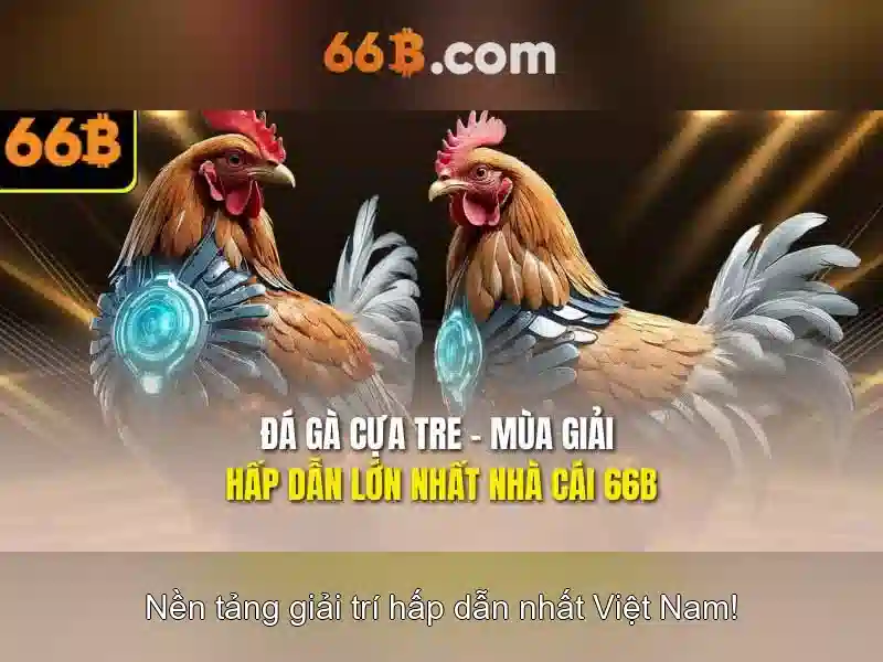 ưu đãi 66B