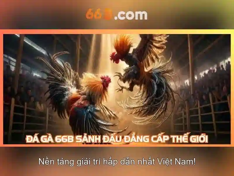 66B – Trải Nghiệm Slot Đỉnh Cao Với 66B Android 2026