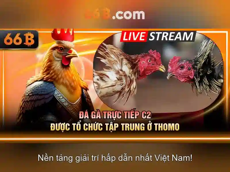 Lô Đề 66B