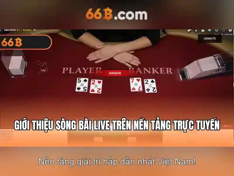 Khám Phá 66B
