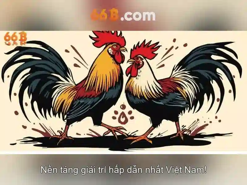 Điều Khoản Sử Dụng 66B