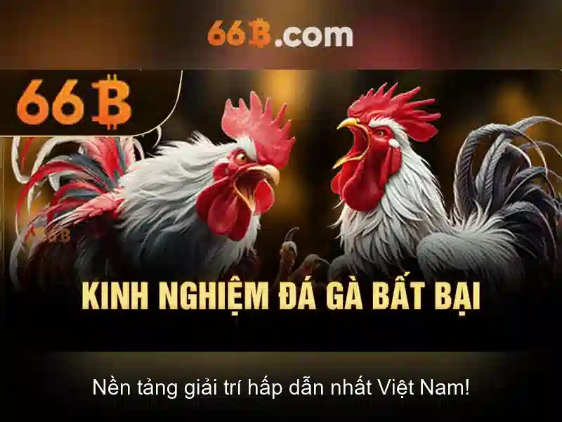 Khám Phá Trang Chủ 66B