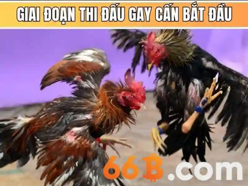 66B link 66b