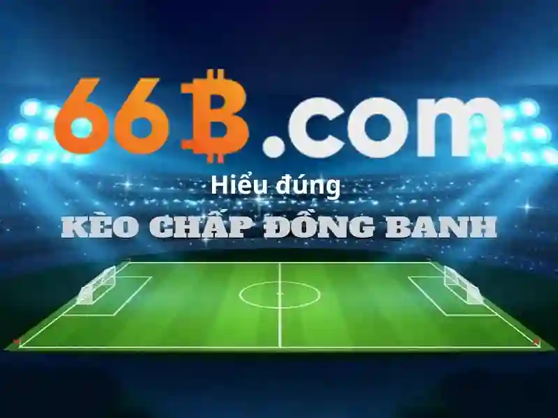 66B và 66b free chip