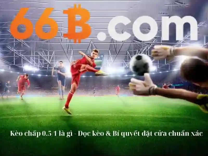 Đánh Giá 66b – Vì Sao Nên Chọn 66B