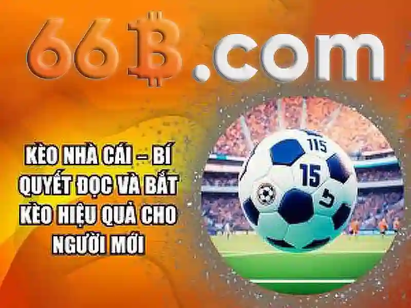 Tại Sao Nên Chọn 66B