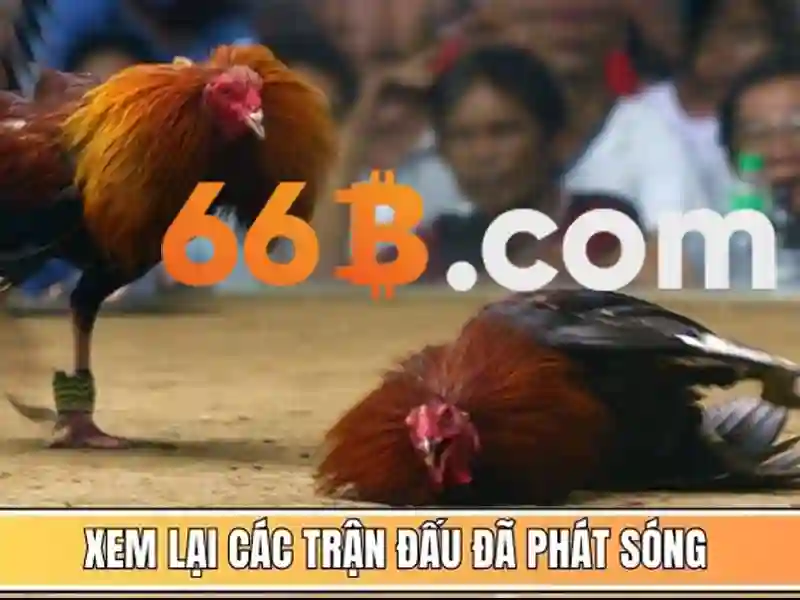 Bảo mật tài khoản Slot